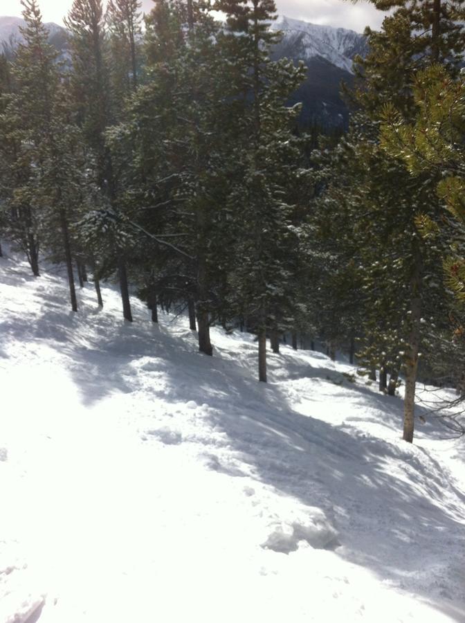Taynton Lodge at Panorama Mountain Village Resort Esterno foto